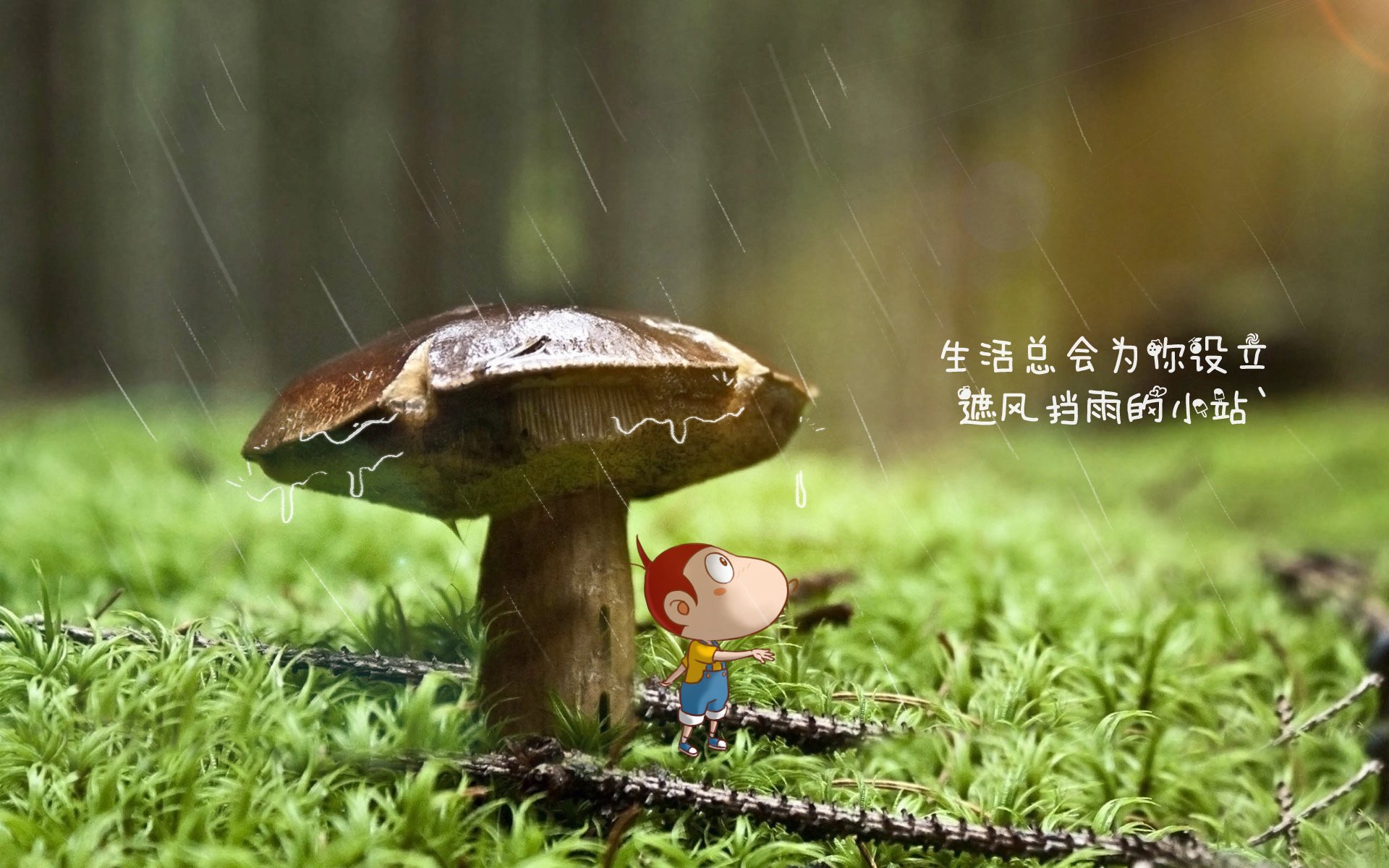 Jiuyou-CBA新赛季赛程公布，球迷翘首以待观赛盛宴，cba新赛季赛程安排规则