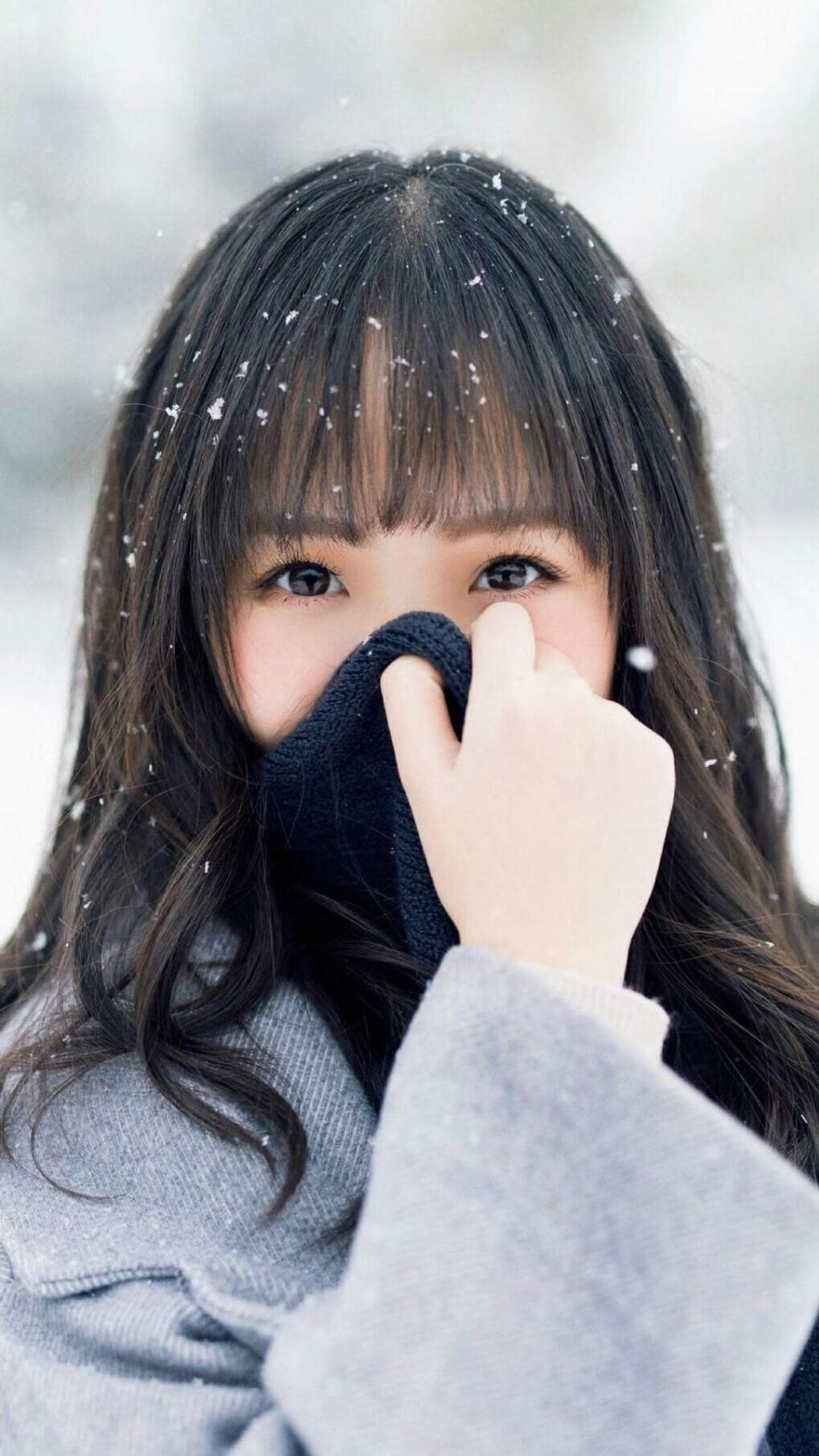 欧洲杯预选赛中的精彩时刻：全场观众欢腾不已，欧洲杯预选赛回顾