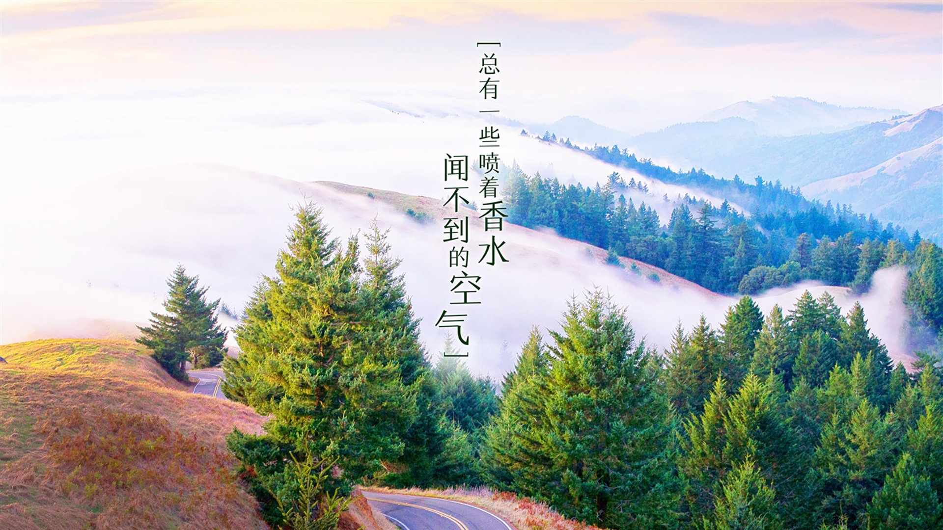 鲁伊遗憾传射未果，那不勒斯中场梦断，那不勒斯队史射手