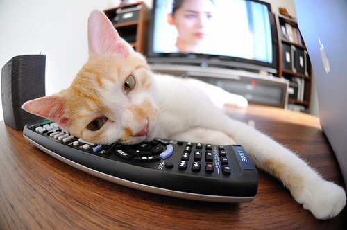 体育新闻中心深化体育数据新闻联合发布平台建设，体育 新闻