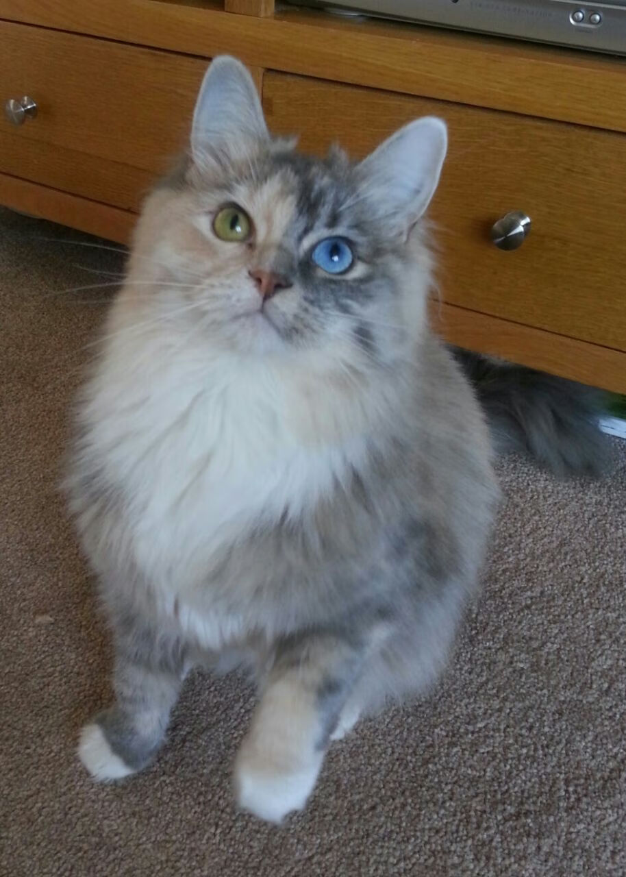 九游娱乐-国足复仇亚洲杯 精彩比赛让人热血沸腾，国足亚洲对手