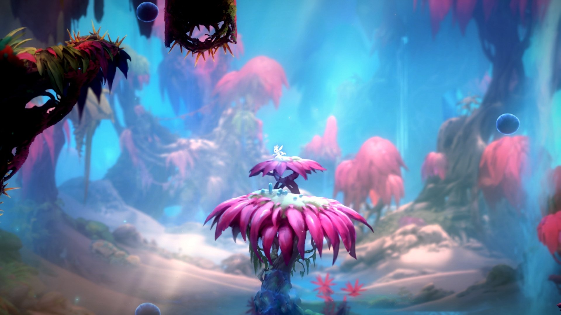 国际乒联混合团体世界杯未来的德国队:复兴之路,德国乒乓球甲级联赛