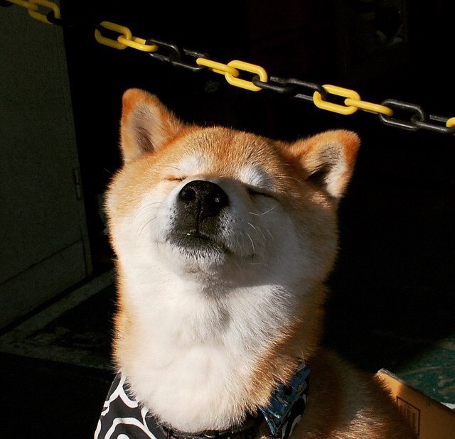 九游网页版官网-外教带队风格与球队适应性矛盾，外教团队对训练的要求很高