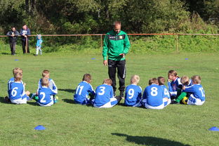 九游娱乐(jiuyou)官网-瑞典团队战术：从快攻到慢球的多变打法，瑞典几分钟进球