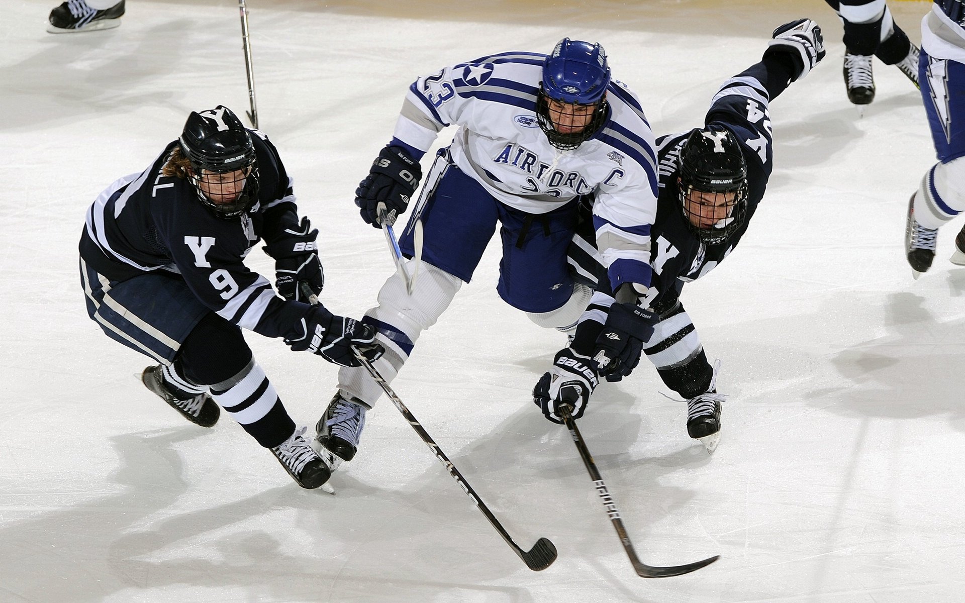 赛后数据分析揭示胜负关键,赛后分析会