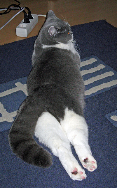 中职联赛新赛制实施增加青年球员登场机会助力发展，中职生比赛有哪些