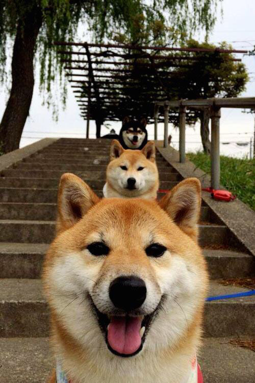 JIU YOU GAME-场馆照明系统全面升级保障夜场比赛清晰呈现，室内场馆照明亮度标准