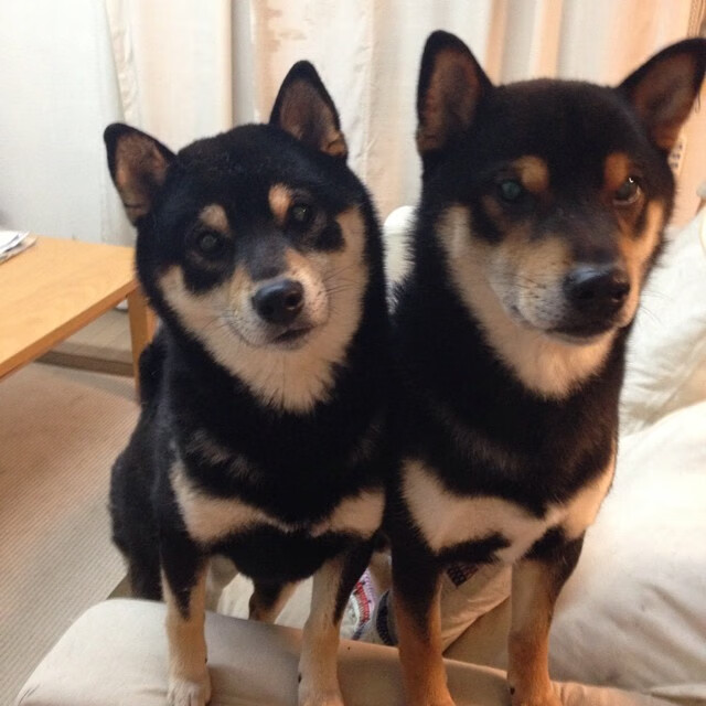 恩多比·恩乔：在比赛中用精湛的脚法和战术能力帮助南非队扩大战果