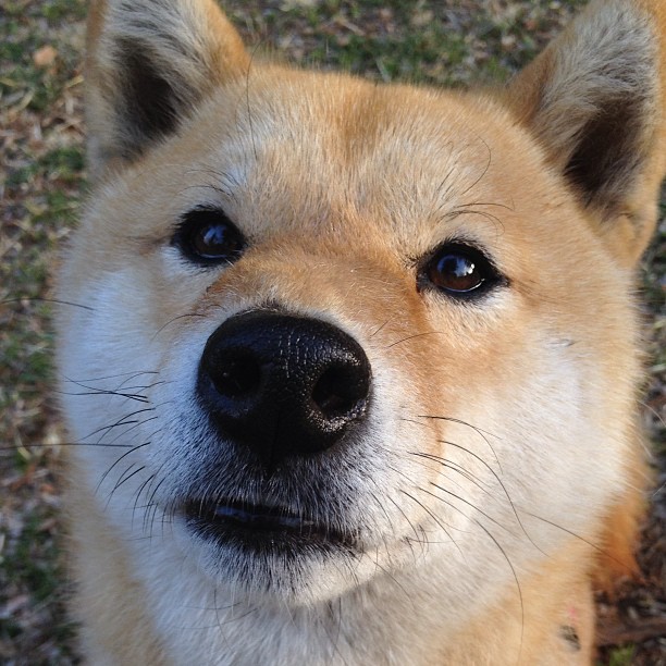 新兴足球国家进步明显，未来世界足球格局或将重新洗牌，2021中国足球未来10大新星