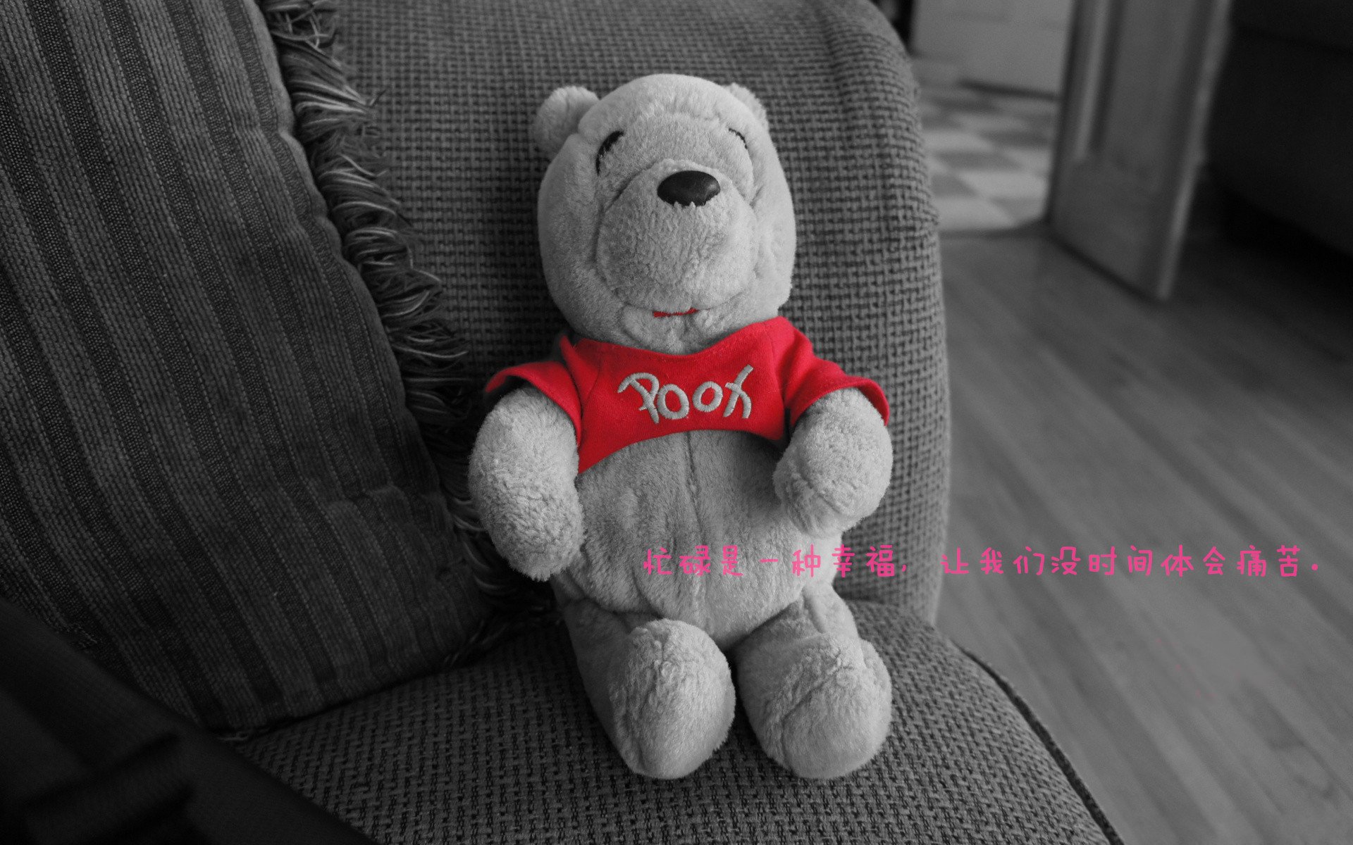 九游网页版官网入口-曹缘刷新个人跳水最佳成绩，曹缘跳水个人资料及简介