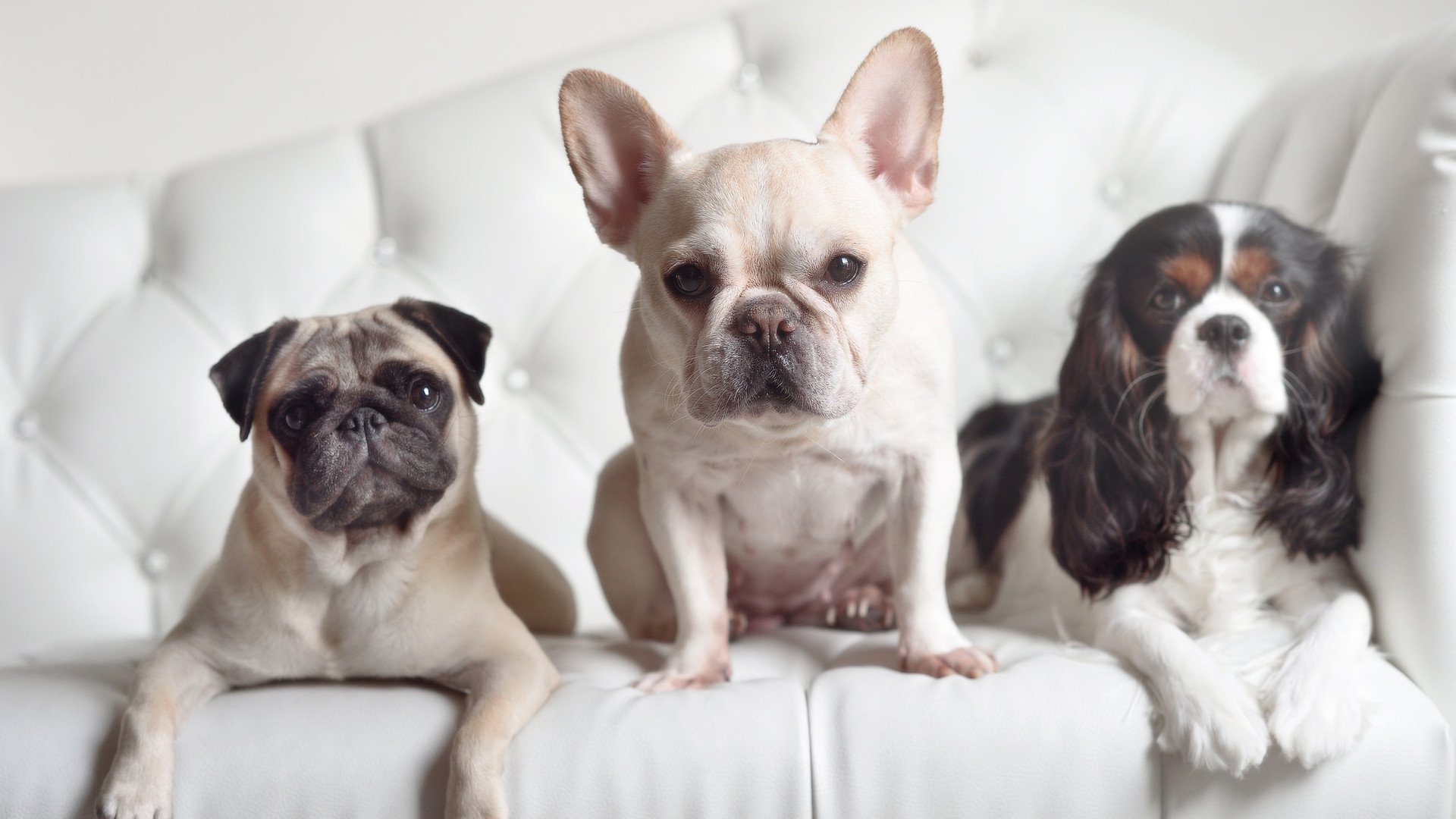 欧洲杯战术之王：布局、变阵、逆转的完美结合，欧洲杯战术笔记