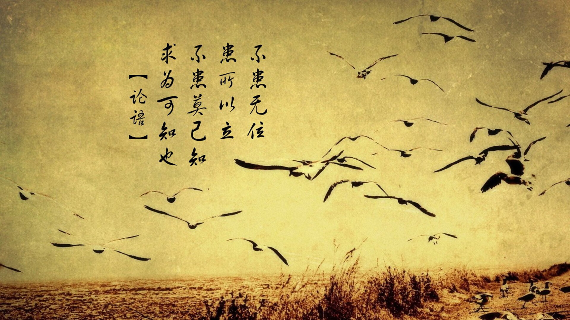 九游9游-法国橄榄球的市场化步伐加快，吸引全球品牌合作，法国橄榄球队