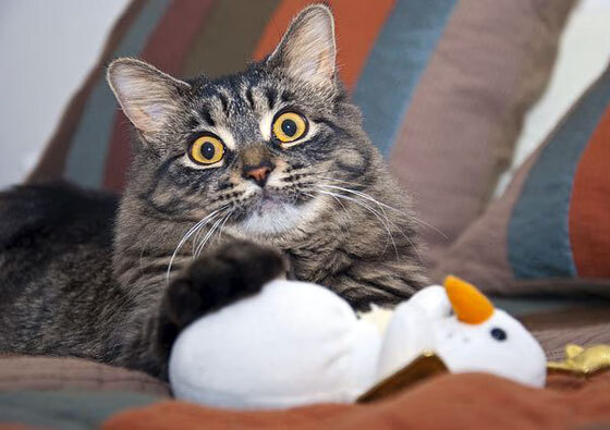 九游娱乐(jiuyou)官网-电子竞技大众联赛推动全民参与热情，电子竞技大型赛事