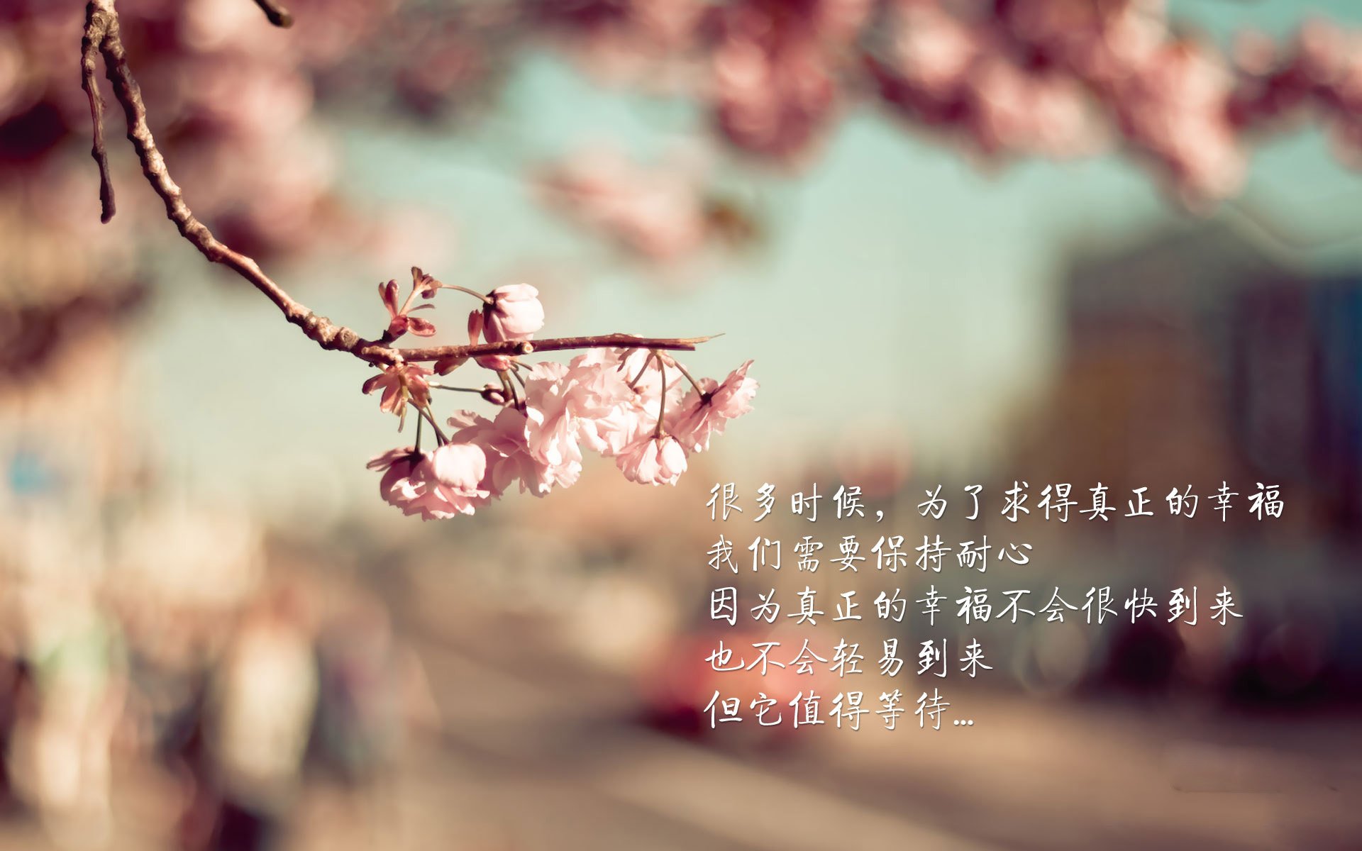 网球比赛数据可视化分析助力战术决策，网球 数据