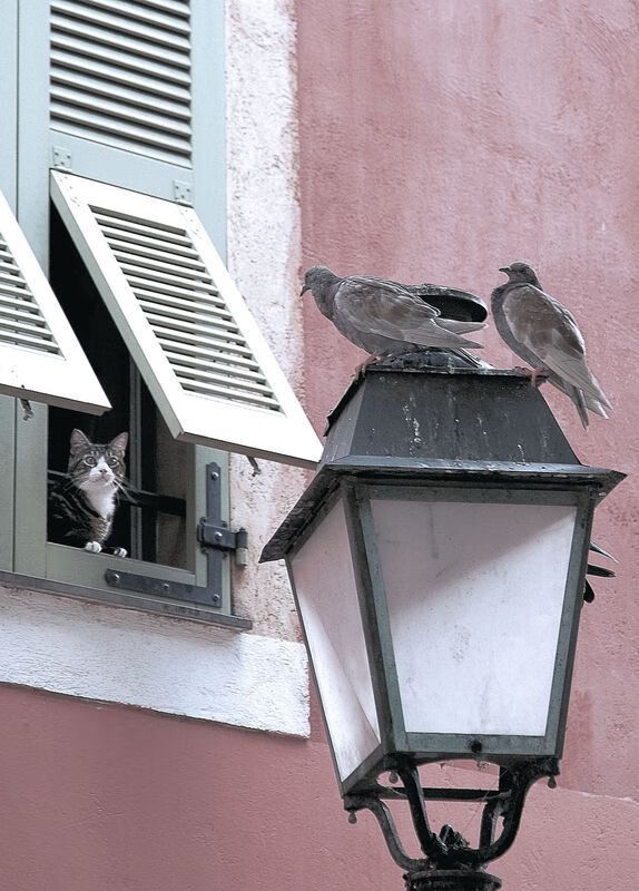 九游网页版官网-英超激烈竞争：精彩场面不断刷新！，英超英超