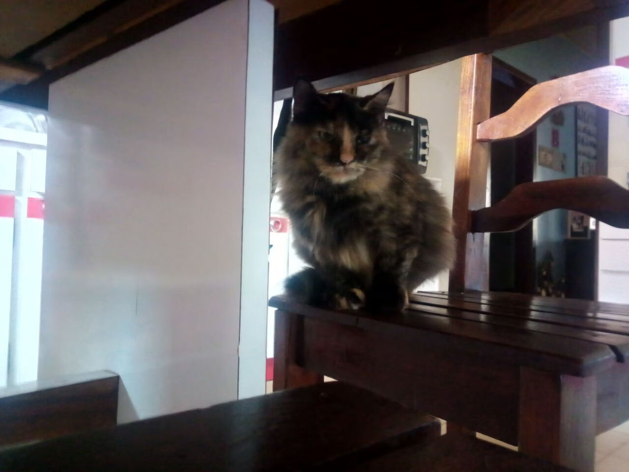 九游官网pc-西甲俱乐部财报解读，西甲俱乐部市值