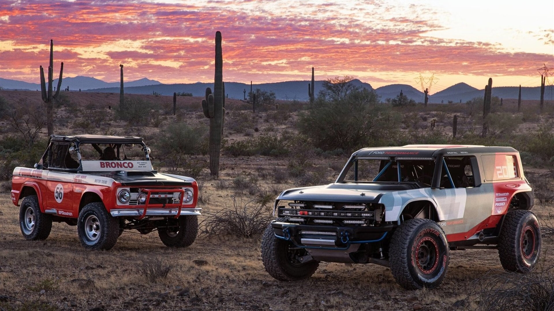 九游网-鹈鹕老将与新秀一同练投篮动作标准，鹈鹕 球星